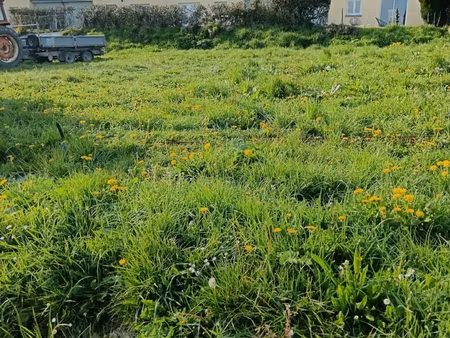 vente terrain à bâtir 465 m²