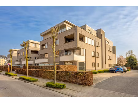 appartement te huur in hoogstraten met 2 slaapkamers