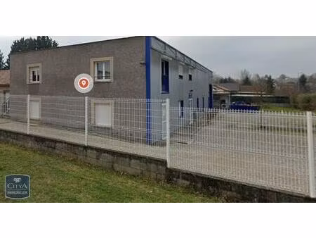 location local professionnel 56m² chavanoz 38230