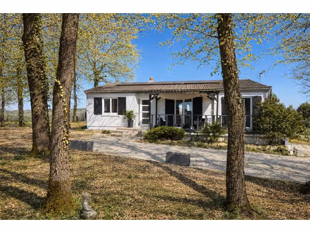 foulayronnes  bel environnement avec vue dégagée  maison en parfait état !