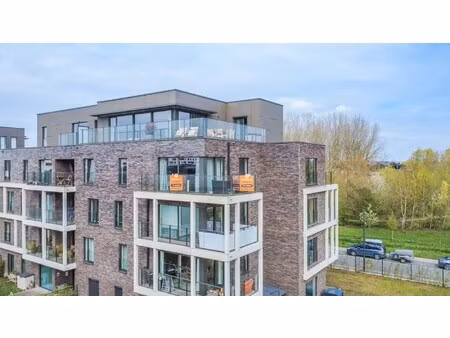 een recent en zongericht appartement te halle!