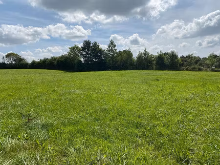 vente terrain à pont-hébert (50880) : à vendre / 46537m² pont-hébert