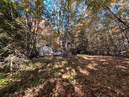 forêt 17 410 m² saint yrieix la perche