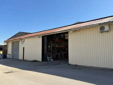 location local d’activités decines charpieu 69150 300m²