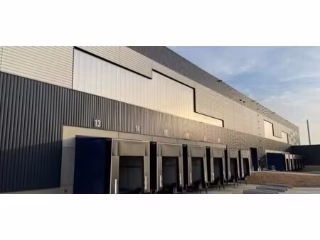 location entrepôt 9 966 m² à 31 346 m²