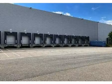 location entrepôt mions 69780 6880m² à 17480m²