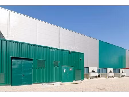 location entrepôt 12 000 m² à 31 569 m²