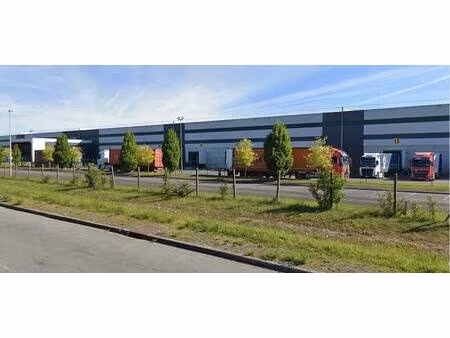 location entrepôt 6 052 m² à 19 073 m²