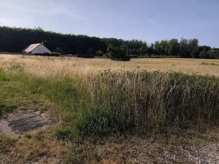 grand terrain constructible à mareuil-sur-cher proche saint aignan