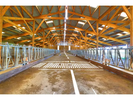 vente ferme 4 pièces 117 m² à gueugnon (71130)  350 000 €