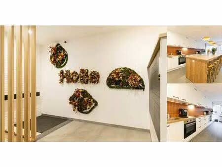 appartement en colocation à rue des palmiers woluwe-saint-pierre (vbe06263)