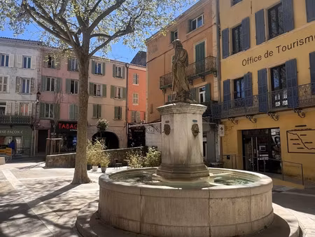 vente appartement 2 pièces à solliès-pont (83210) : à vendre 2 pièces / 63m² solliès-pont