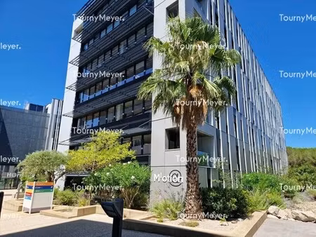 location bureaux 212 m² à 1 172 m²