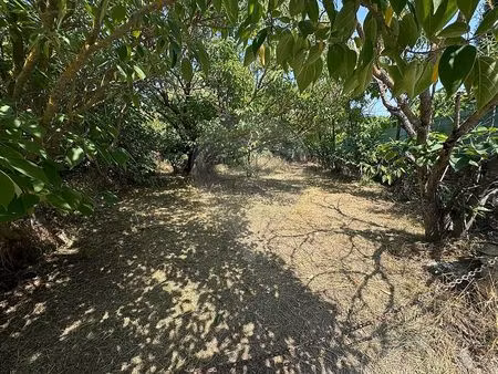 maison 4 chambre(s) à vendre