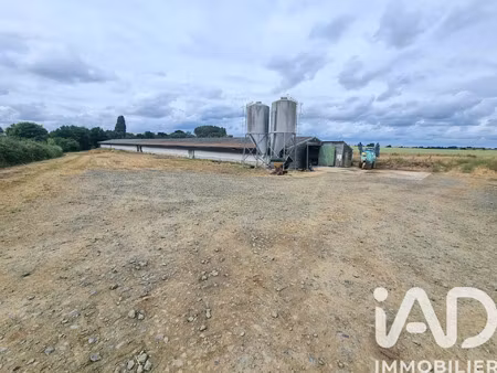 vente terrain à chantonnay (85110) : à vendre / 15547m² chantonnay