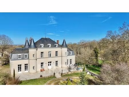 château à vendre à neuillé-pont-pierre