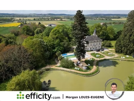 château à vendre à tournon-saint-pierre