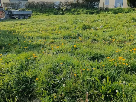 vente terrain à saint-jean-d'elle (50810) : à vendre / 465m² saint-jean-d'elle