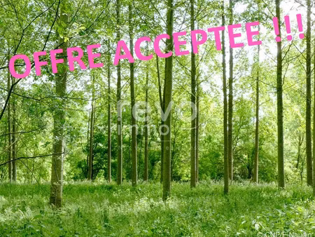 vente terrain 10254 m² vallet (44330)