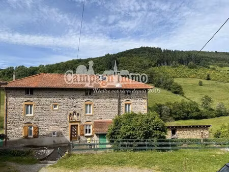 propriété environnement bucolique