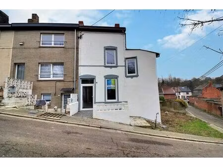 maison 3 chambres + jardin + parking à dampremy