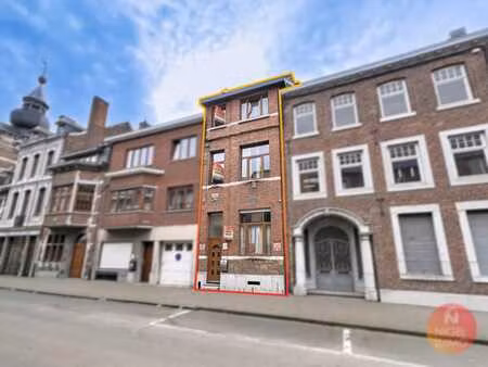 visé centre  4 chambres  peb : d  vue sur l'île robinson !