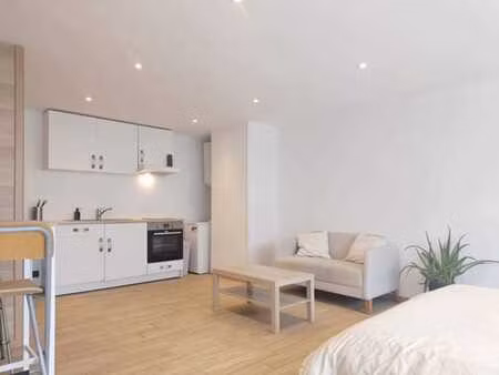 spacieux studio entierement meublé et équipé