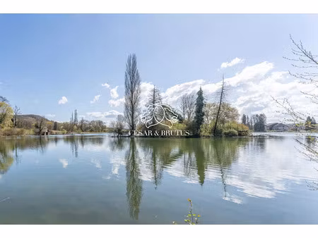 vente maison 9 pièces 300 m² à trept (38460)  1 000 000 €