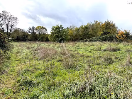 vente terrain à saint-cyr-en-talmondais (85540) : à vendre / 1322m² saint-cyr-en-talmondai