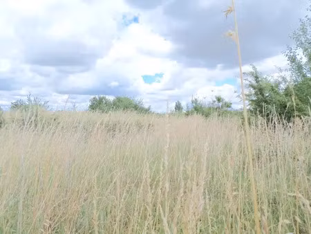 vente terrain à puyravault (85450) : à vendre / 1000m² puyravault