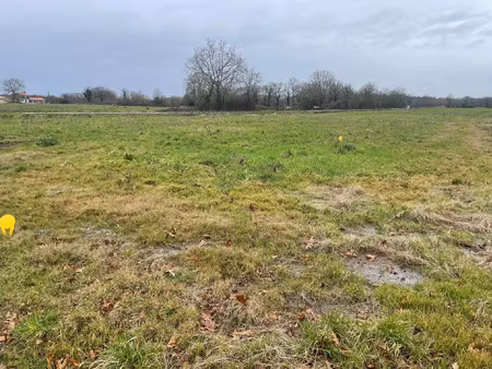 vente terrain à la chevrolière (44118) : à vendre / la chevrolière