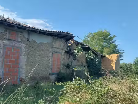 vente terrain 3 300 m²