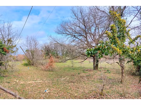 vente terrain 1753 m² albi (81000)