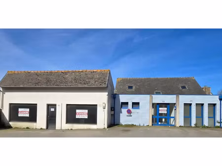 vente bureaux et commerces piscine à plounéventer (29400) : à vendre piscine / 239m² ploun