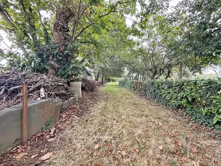 vente terrain à rieux (56350) : à vendre / 1121m² rieux