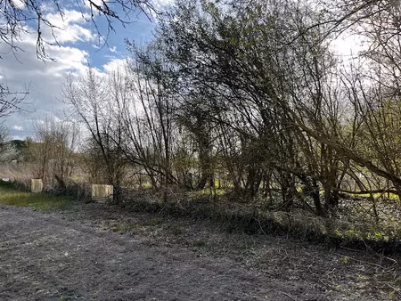 vente terrain 1275 m² à saint-aoustrille (36100)  7 000 €