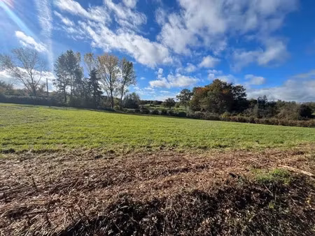 vente terrain 3500 m² à saint-maurice-la-souterraine (23300)  19 000 €