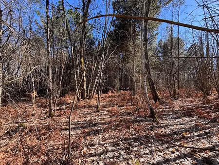 vente terrain à savigné-sous-le-lude (72800)  8 514 €