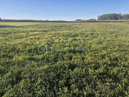 vente terrain 1664 m² à razac-d'eymet (24500)  27 400 €