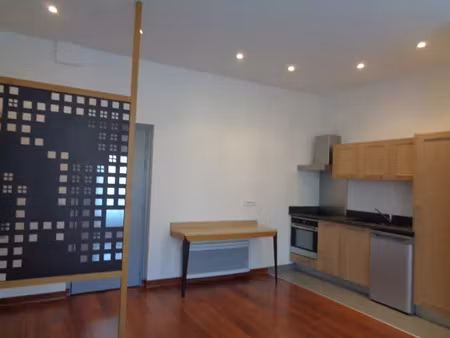 location appartement 1 pièce 25 m² à saint-palais (64120)