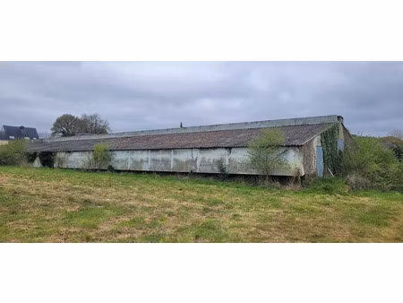 vente terrain 61402 m² à bignan (56500)  84 000 €