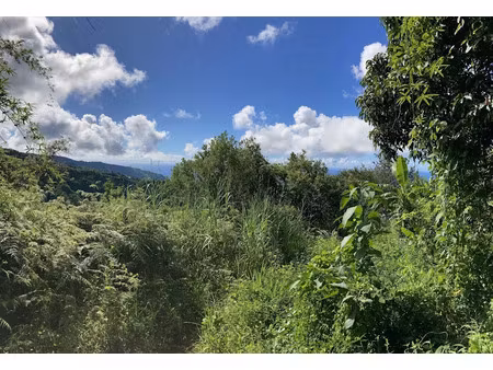 vente terrain 1102 m² à saint-denis (97400)  350 988 €