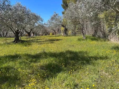 vente terrain à batir 911 m² à entrechaux (84340)  140 000 €