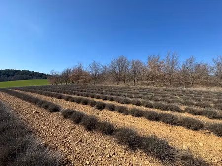 vente terrain à batir 659 m² à roumoules (04500)  98 000 €