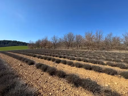 vente terrain à batir 634 m² à roumoules (04500)  97 000 €