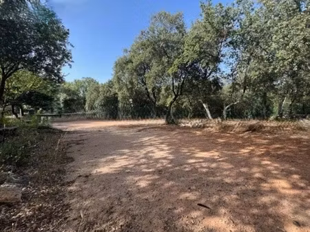 vente terrain 2150 m² à saint-maximin-la-sainte-baume (83470)  210 000 €