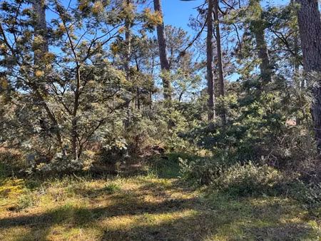 vente terrain 700 m² à andernos-les-bains (33510)  360 000 €