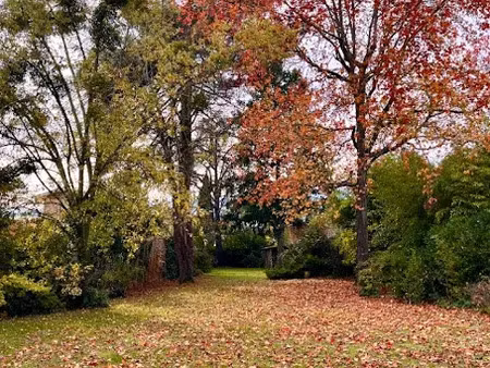 vente terrain 424 m² à bordeaux (33000)  367 500 €