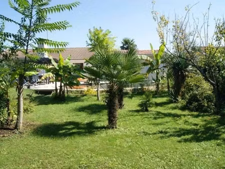 location appartement 1 pièce à cestas (33610)  540 €