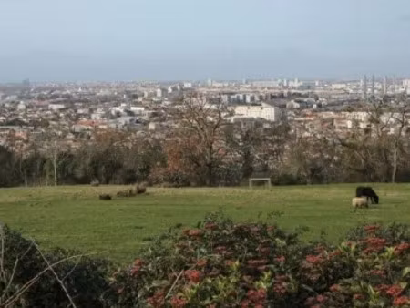 location appartement 2 pièces à cenon (33150)  650 €